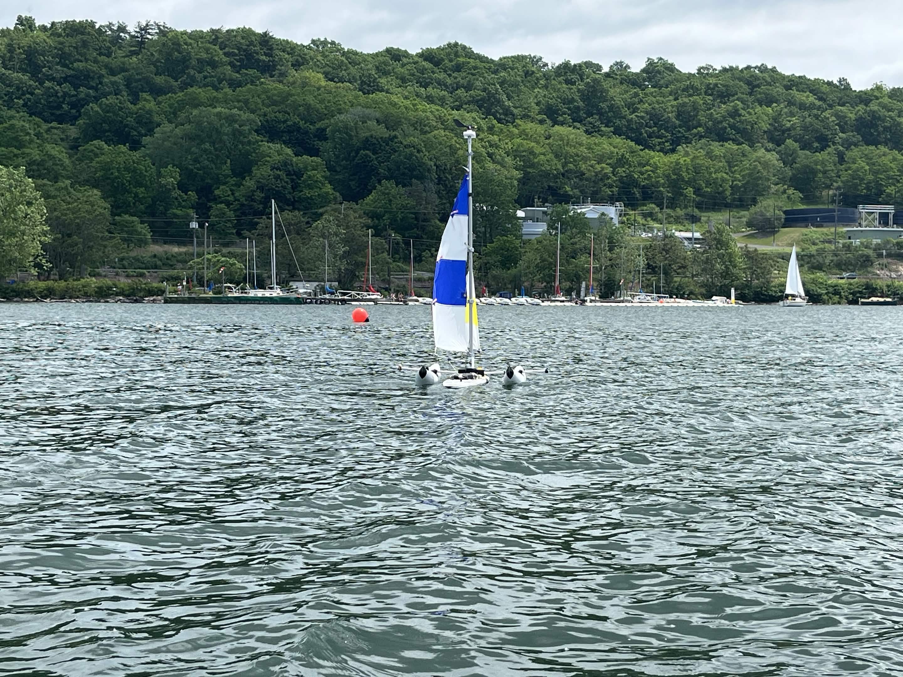 Competition photo